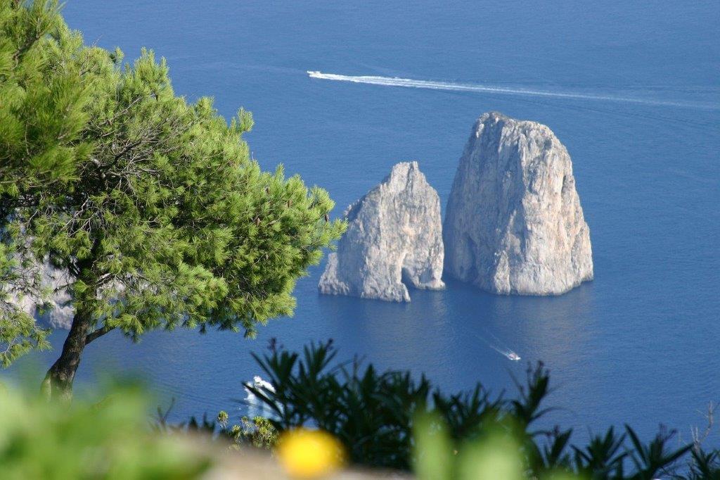 ¿Se puede visitar Pompeya y Capri en un día? ¿Hay tours organizados?